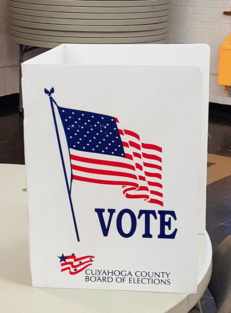 Acton 2020 Primary