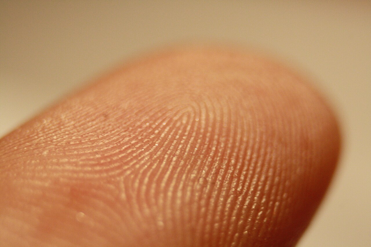 BCI vs. FBI Background Checks