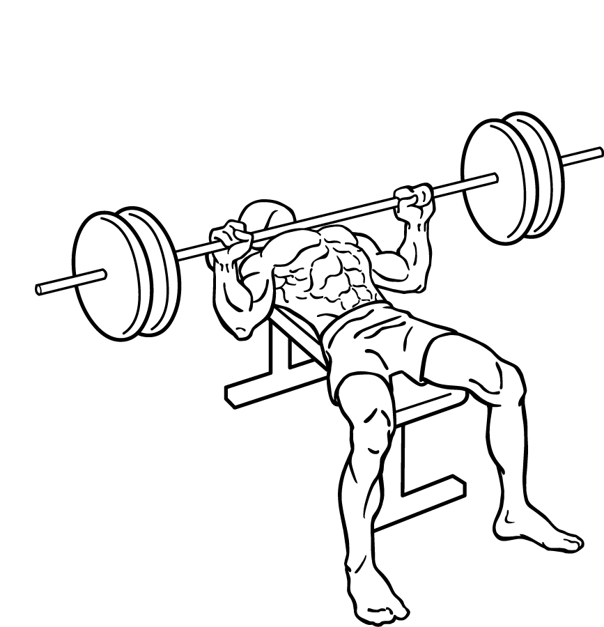 Bench Press Basics for a Bigger Chest