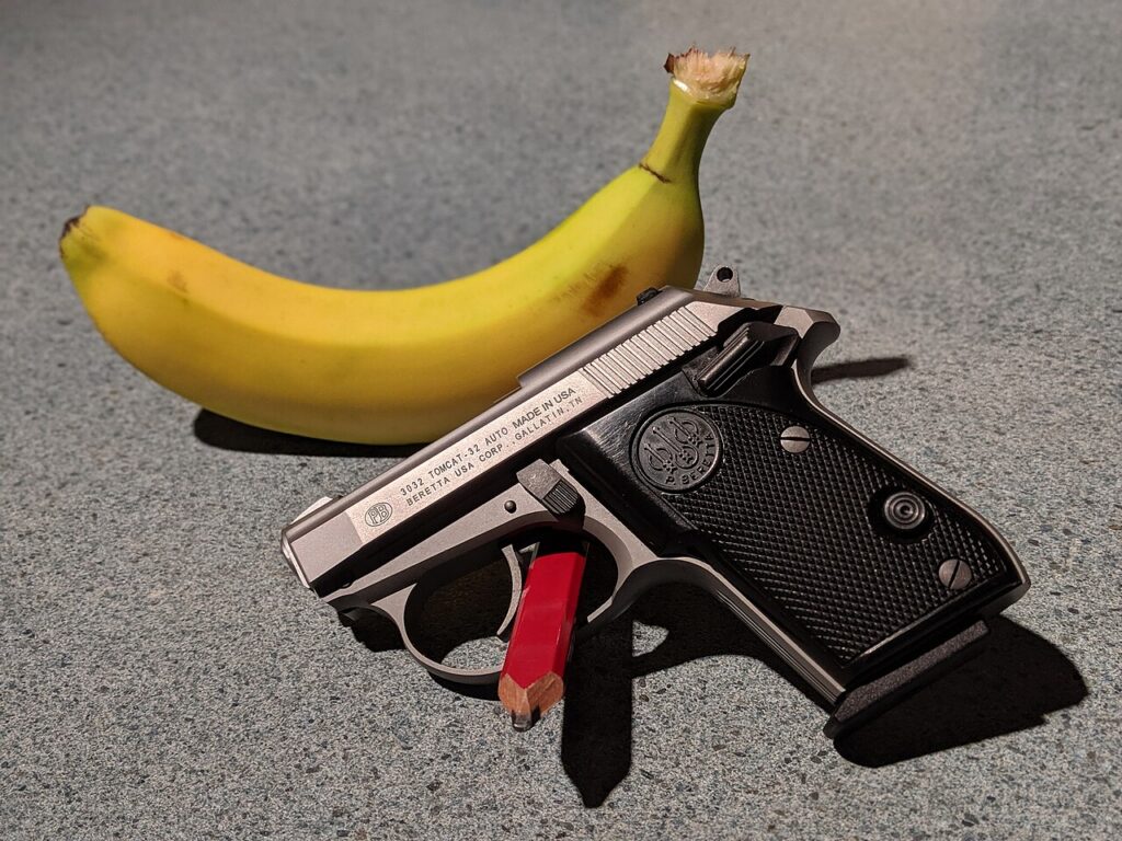 Beretta 3032 Tomcat