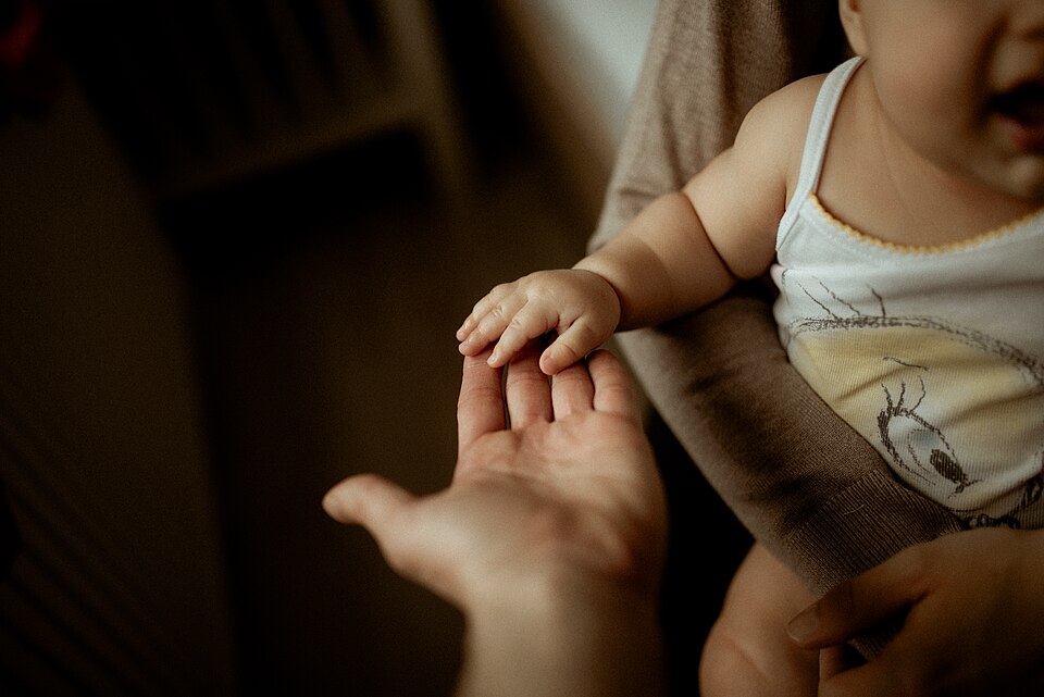 Child Custody Investigations