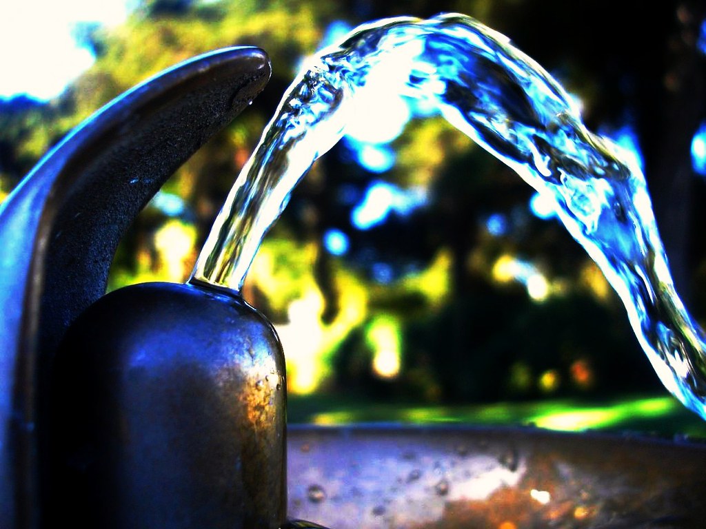 Drink Enough Water Every Day