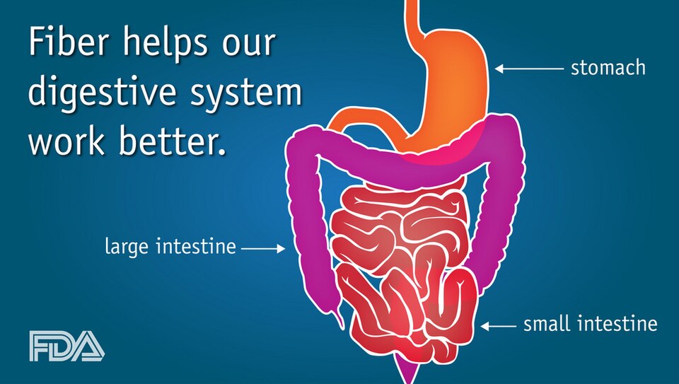 Fiber and Diverticular Health