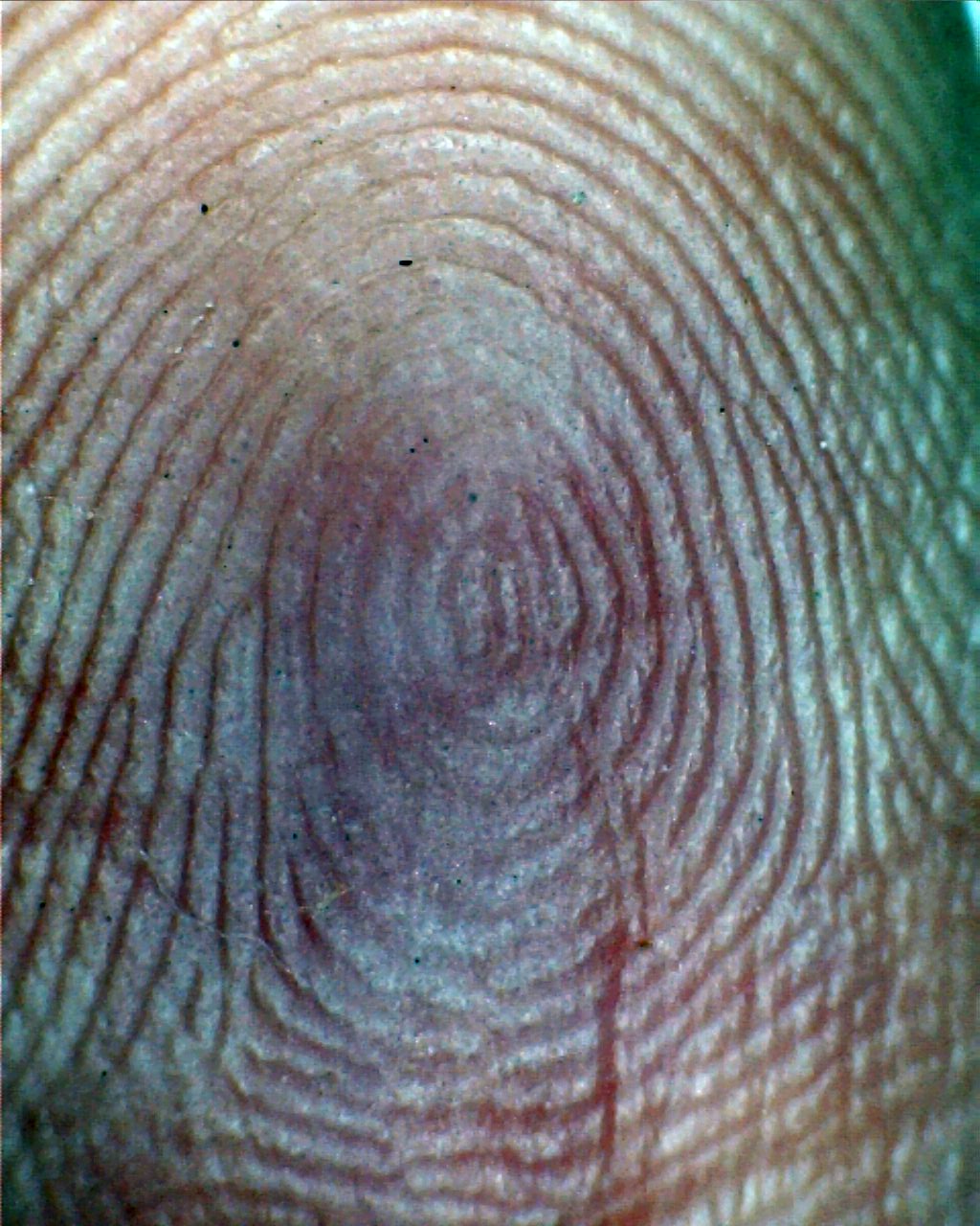 Fingerprinting for Teachers and School Employees
