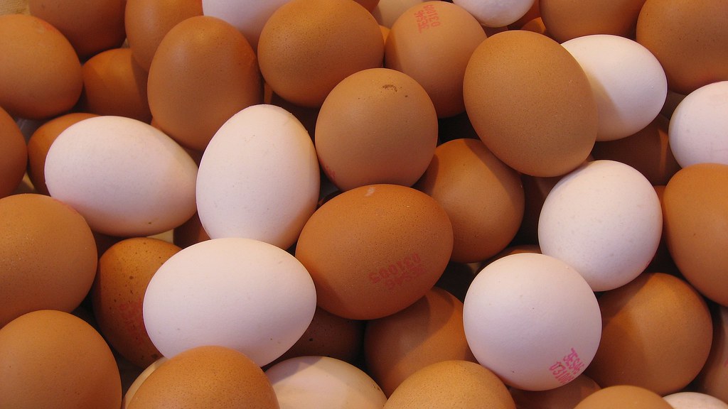 How Much Protein Do You Need to Build Muscle?