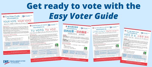 How to Find Nonpartisan Election Information