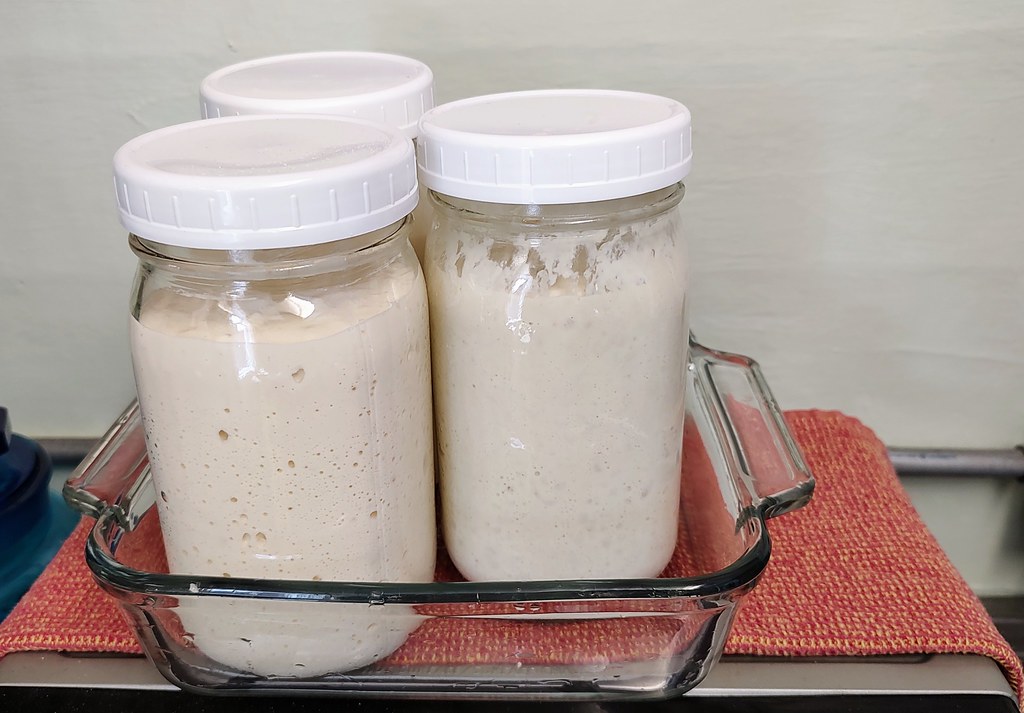 How to Start a Sourdough Starter at Home