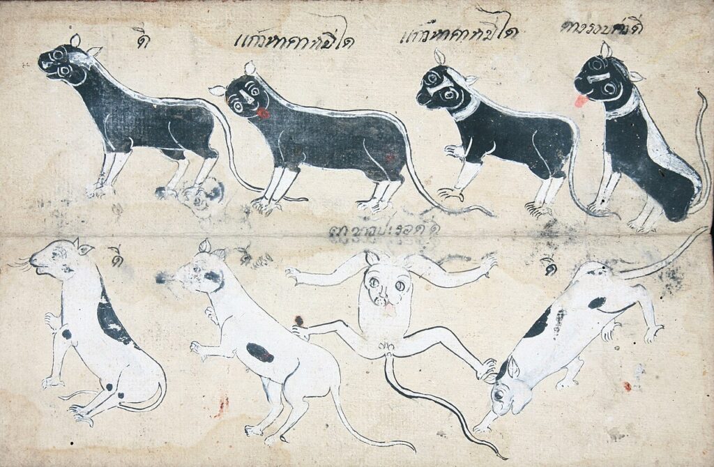 Khao Manee