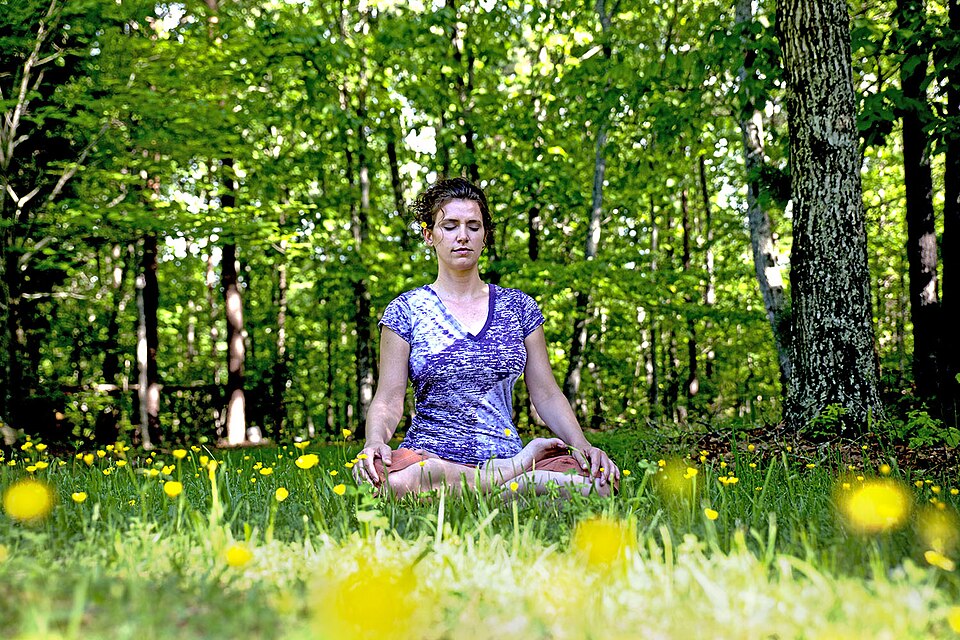 Managing Stress for Better Health