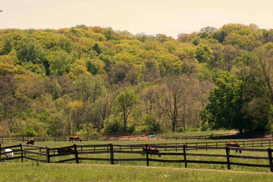 Pepper Pike, Ohio