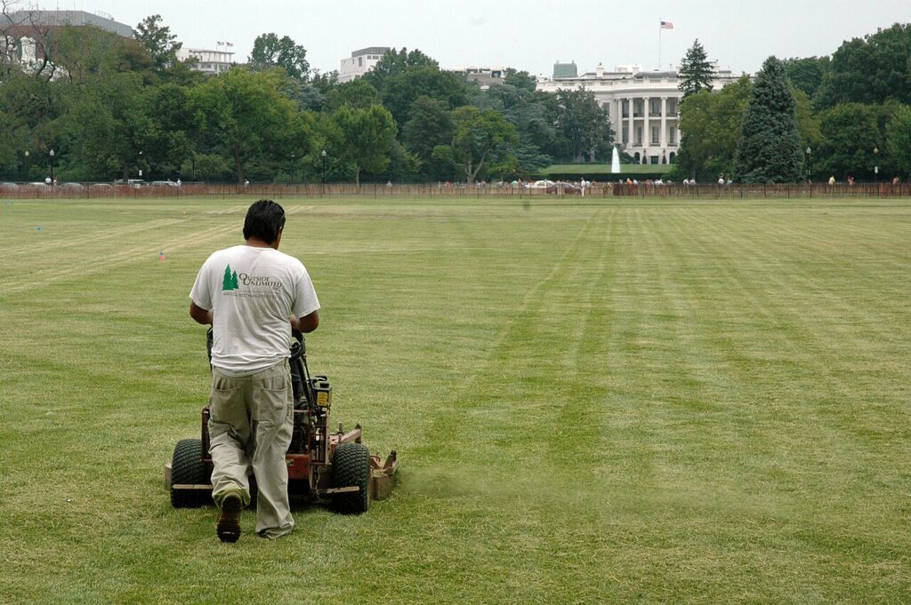 What Is MB Mowing & Building Maintenance? Mowing, Property Care, and Building Maintenance