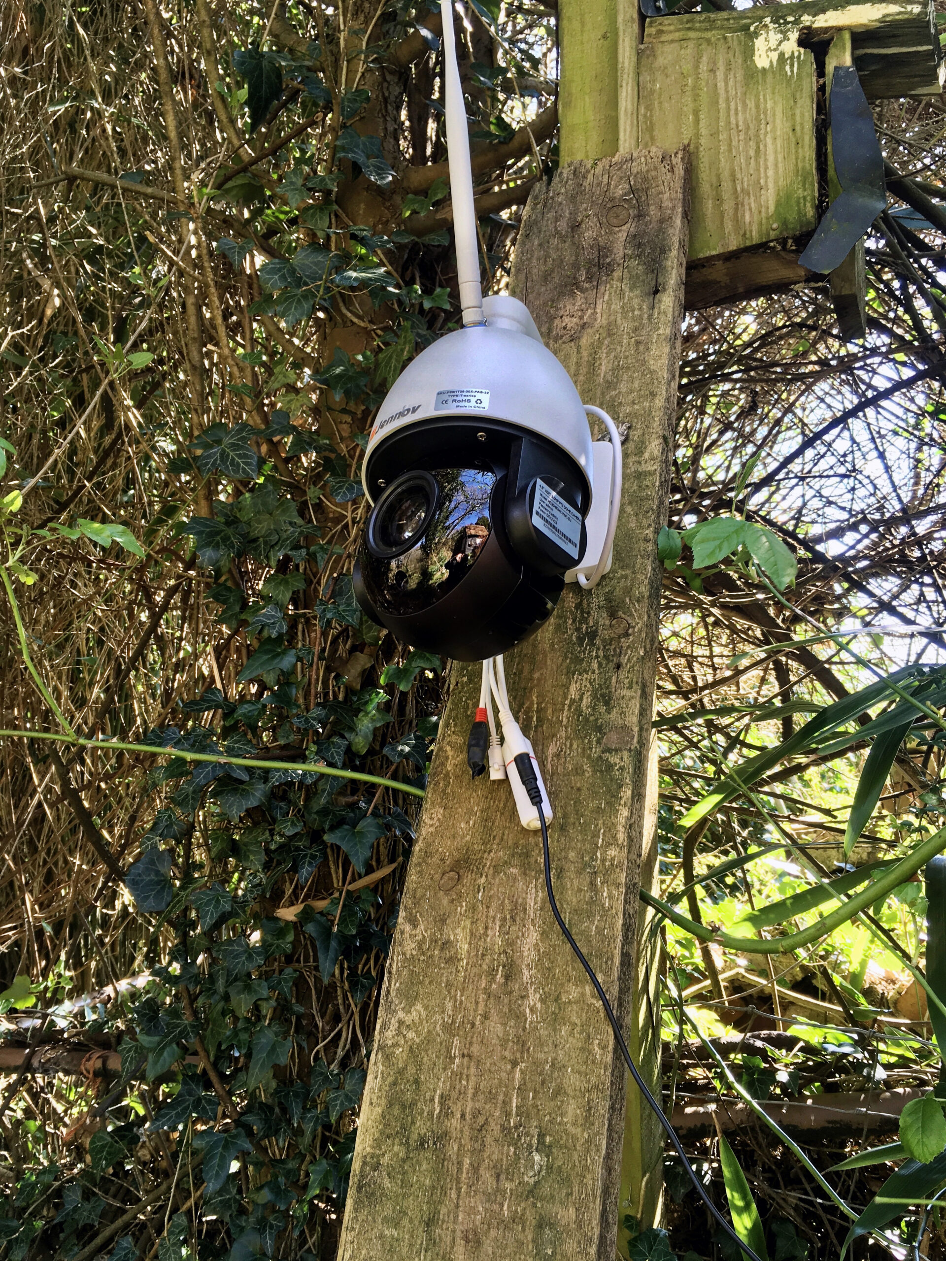 Wired Versus Wireless Security Cameras